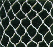 safety netting  5