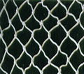 safety netting  5