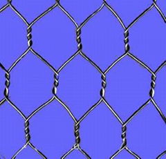 hexagonal wire mesh