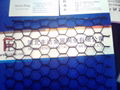 hexagonal wire mesh 4