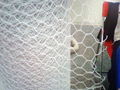 hexagonal wire mesh 5