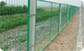 wire mesh fence