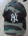 cap,baseball cap 1