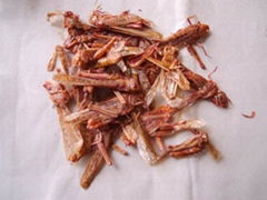 dried grasshoppers for birds and hamster