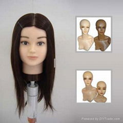 Mannequin And Practise Head