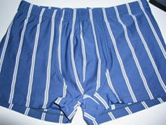 underwear/sportswear/swimwear/bearchwear/bikini