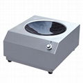 Commercial Induction Cooker 2