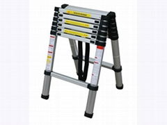 Telescopic Ladder HD-D07