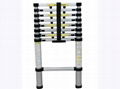 Telescopic Ladder HD-C09