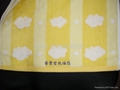 Towel 1