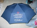 Umbrella 5