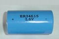 D Size Batteries - Lithium Primary