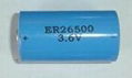 C Size Battery ER26500 - Lithium Primary Batteries