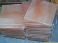 Himalayan Rock Salt Tiles and Bricks