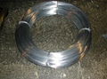 GALVANIZED IRON WIRE 1