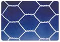 HEXAGONAL WIRE MESH