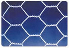 HEXAGONAL WIRE MESH