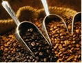 新鲜出炉纯进口咖啡豆