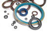 Oil seal