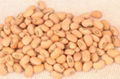 cowpea 1