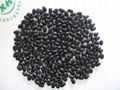 black kidney beans 1