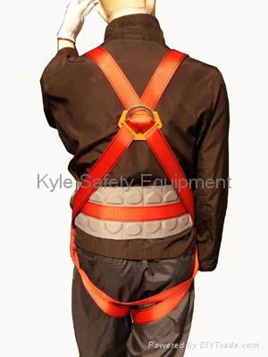 Safety Harness 3