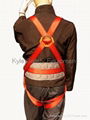 Safety Harness 3