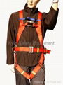 Safety Harness 1