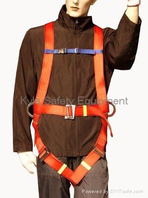Safety Harness 2
