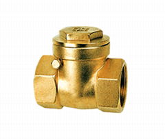 brass check valve