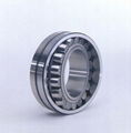 cylinderical roller bearing