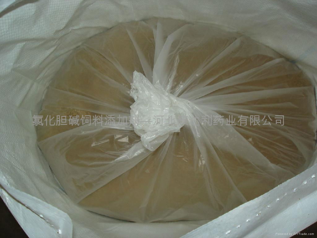 feed additive choline chloride 