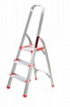 Aluminum ladder 1