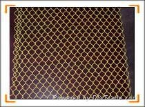 chain link wire mesh 2
