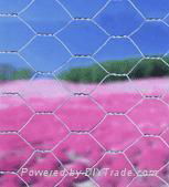haxagonal wire mesh