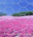 haxagonal wire mesh 1