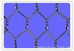 haxagonal wire mesh 3