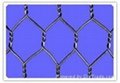 haxagonal wire mesh 3