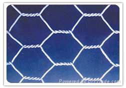 haxagonal wire mesh 4