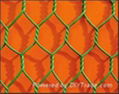 haxagonal wire mesh 5