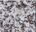 Chinese Granite G439 1