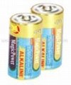 LR20 Alkaline Battery (Magic Power)