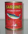 Canned Sardines 1