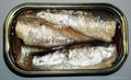 Canned Sardines