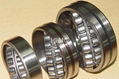 SPHERICAL ROLLER BEARING 1