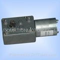 worm geared motor 1