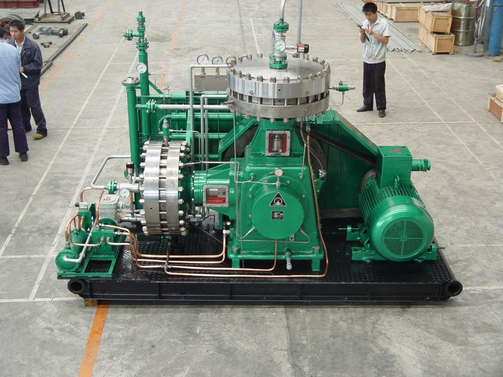 Diaphragm compressor - The Temple of Heaven (China Manufacturer) - Air  Compressor - Machinery Products - DIYTrade China manufacturers