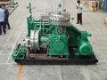 Diaphragm compressor 2