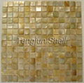 shell mosaic