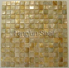 shell mosaic